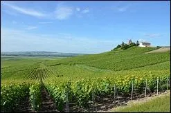 Quittons le canton d'Anet et poursuivons la route vers la Champagne-Ardenne. Nous poserons les valises chez les Agens, ils vous serviront de quoi vous rafrachir !