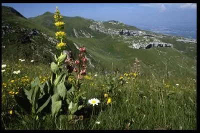Proche du parc rgional du Haut-Jura vous apprcierez le calme de ---- situ dans le dpartement du Doubs, rgion -------.