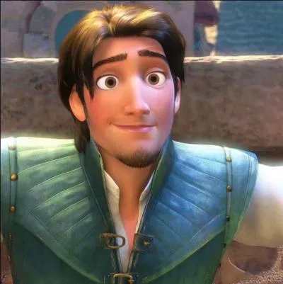 Je m'appelle Flynn Rider, qui est ma princesse ?