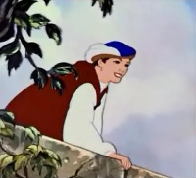 Je m'appelle Florian, qui est ma princesse ?