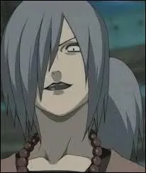 Quelle est la spcialit de Sakon et Ukon ?