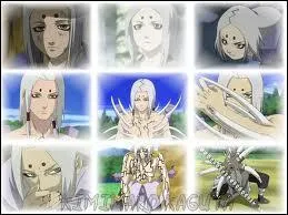 Qui est intervenu pendant le combat de Kimimaro ? (entre la question 13 et la 14)