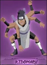 Qui va vaincre Kidomaru ?