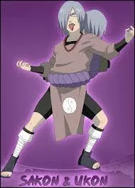 Qui va vaincre Sakon et Ukon ?