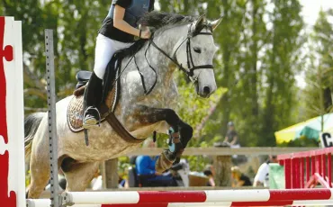 Quiz Galop 4