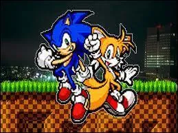 Qui est le meilleur ami de Sonic ?