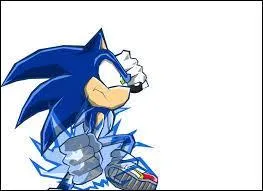 Contre qui Sonic the Hedgehog se bat-il en remportant la victoire haut la main ?