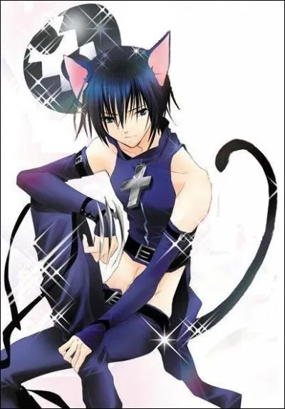 Dans  Shugo Chara !  , que veut Ikuto Tsukiyomi ?