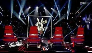 Depuis quelle anne l'mission  The Voice  existe-t-elle ?