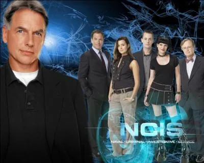 Que signifient les initiales de  NCIS  ?