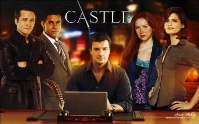 Comment s'appellent les coquipiers de Castle ?