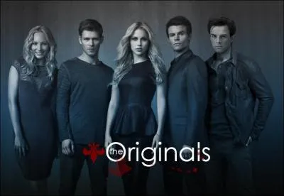 Quel est le but de base de Niklaus Mikaelson dans  The Originals  ?