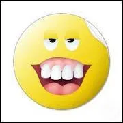 Quel plat, dlicieux et mariant  loisir le fondant au croquant, intervient quand franchement le monde est de sortie, trs cher