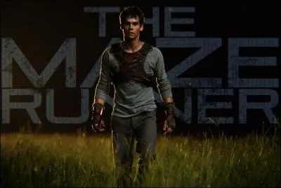 Dans le film  The Maze Runner , quelle personne incarnera Dylan ?