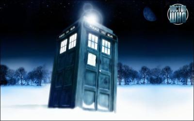 Que signifie  TARDIS  selon le Docteur ?