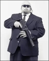 Dans le film  Bodyguard , qui est le garde du corps ?