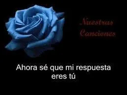 Qui chante  Junto a ti  ?