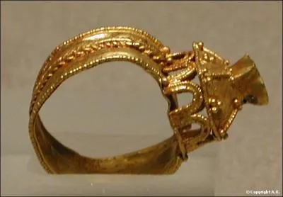 Quel nom de jeune animal peut tre serti sur l'objet de cette photo ?