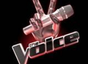 Quiz Les talents de The Voice 2014 en 30 questions