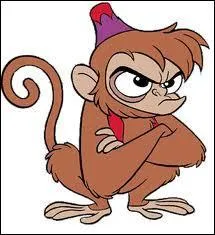 Quelle sorte d'animal accompagne Aladin ?