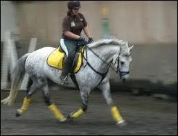 Quelle est cette robe ?