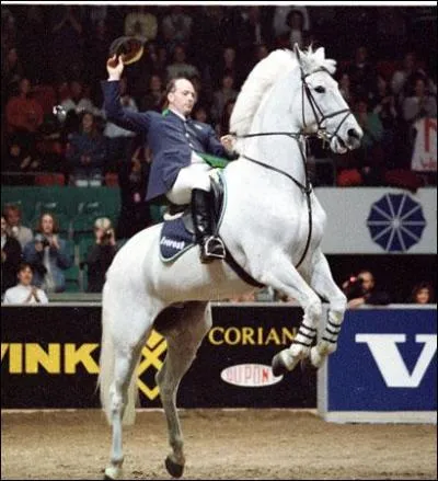 Qui furent les principaux adversaires du couple franais ?