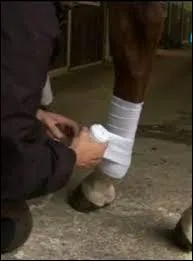 Comment s'appellent ces lments ?