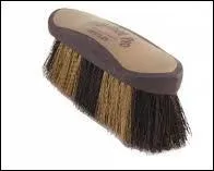 Comment s'appelle cette brosse ?