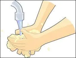 Par jour, combien de fois les Franais dclarent-ils se laver les mains ? (en moyenne)