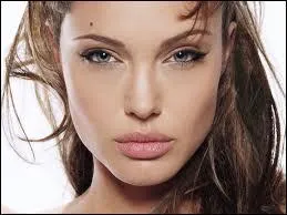 Angelina Jolie serait jalouse de Brnice Bejo.