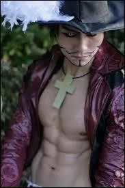 Quel est ce cosplay ?