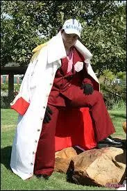 Quel est ce cosplay ?