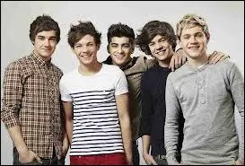 A quelle occasion ont-ils interprt leur chanson  What Makes You Beautiful  ?