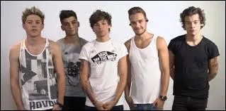 Comment s'appelle leur album sorti fin 2013 ?