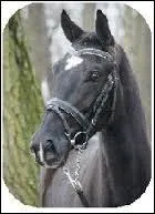 Quelle est cette marque blanche ?