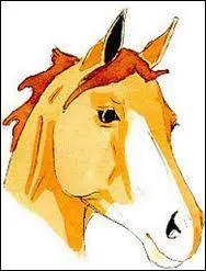 Quelle est cette marque blanche ?