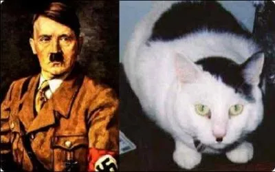 Prenez de la hauteur grce au moustachu !