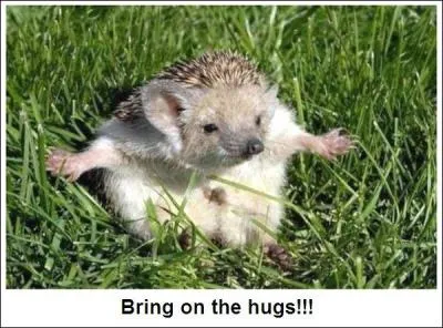 Trouver cet autre moustachu, grce  Emilie !