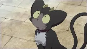 A quel manga ce familier appartient-il ?