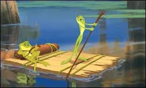 En guise de bbtes, ces deux-l sont les hros du film La Princesse et la grenouille. O se promnent-ils  la recherche d'un moyen de contrer leur sort funeste ?