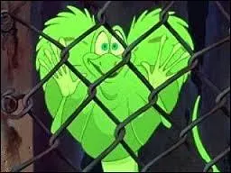 Et voil l'ami Frank, le lzard  collerette. Celui-ci vit en quel endroit ?