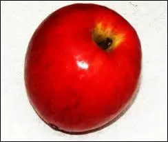 Eh oui, c'est grce  ce fruit que tu dois trouver le nom de la ville !