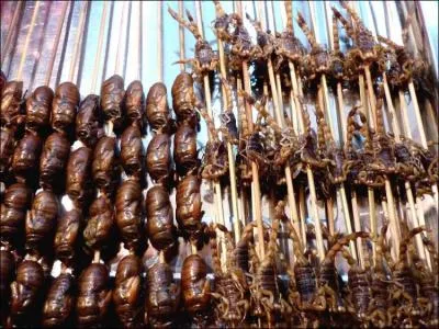 Si tu veux manger des brochettes un peu particulires, c'est l qu'il faut aller !