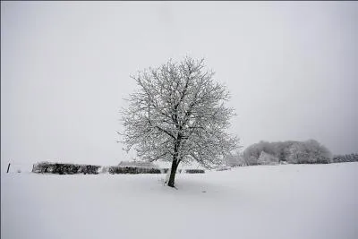 Aidez-vous de la question 3 pour rpondre  celle-ci.
