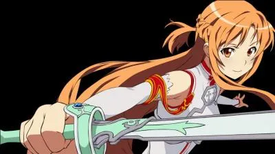 Qui suis-je dans "Sword Art Online" ?