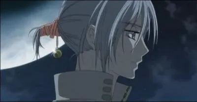 Qui suis-je dans  Vampire Knight  ?