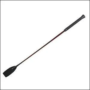 La cravache est une aide ...