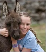 Quel est cet animal ?