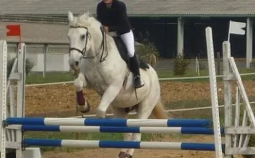 Quiz Galop 1
