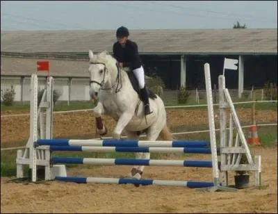 Au trot enlev, je dois m'asseoir puis me lever en alternance :